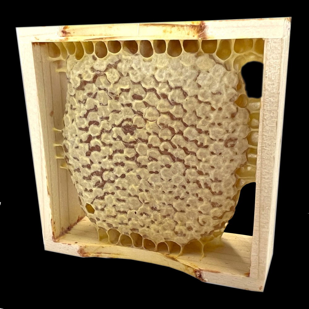 Wabenhonig-Rähmchen mit verdeckeltem Honig